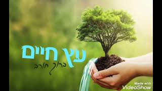 עץ חיים – ברוך חורב (הזמר והיוצר ברוך חורב) - התמונה מוצגת ישירות מתוך אתר האינטרנט יוטיוב. זכויות היוצרים בתמונה שייכות ליוצרה. קישור קרדיט למקור התוכן נמצא בתוך דף הסרטון