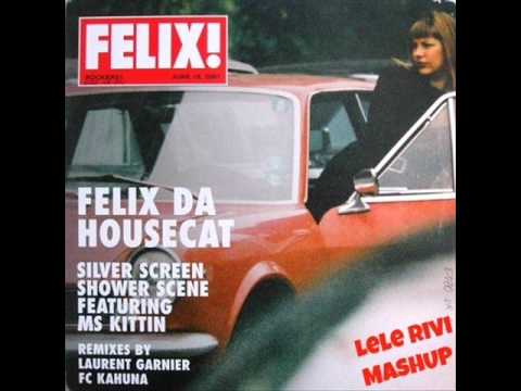 Nari & Milani, Dek 32 vs Felix da Housecat - Gnor Screen (Main mix) (Lele Rivi MashUp)