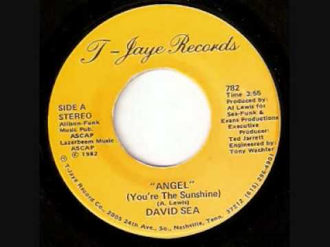 Angel (You're The Sunshine)  -  David Sea