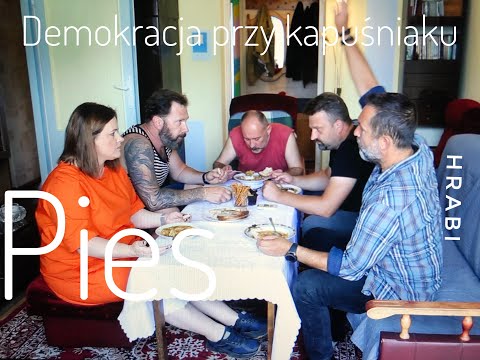 DEMOKRACJA PRZY KAPUŚNIAKU - ODC. 2 - PIES