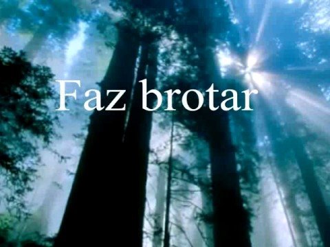 A Voz De Deus video