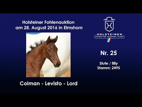 Holsteiner Fohlenauktion 2016 in Elmshorn - Nr. 25 v. Colman - Levisto