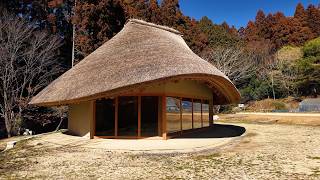 【所さんの目がテン!】茅葺き屋根の母屋プロジェクトでの木材利用