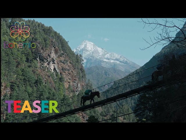 Teaser Trailer
