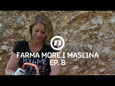 Dvoboj Marina vs Sanja - Epizoda 8 | Farma More i Maslina