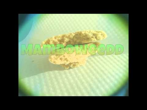 MAMBOWEEDD ____ JAVIELITO  &  ESTUKORO