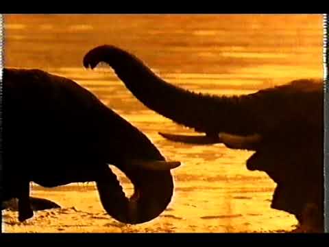 Amarula Cream Liqueur TV Advert  -1998
