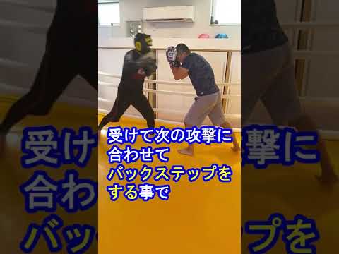 【神回】パンチラッシュの対策とは？#shorts