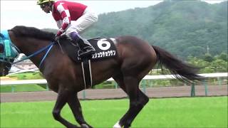 平地のオジュウチョウサン現地映像！in福島競馬場 パドック！レース！