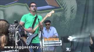The Black Seeds - Settle Down - Summerjam 2013