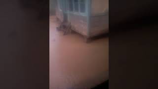 preview picture of video 'Banjir di Kecamatan Sangkunur'