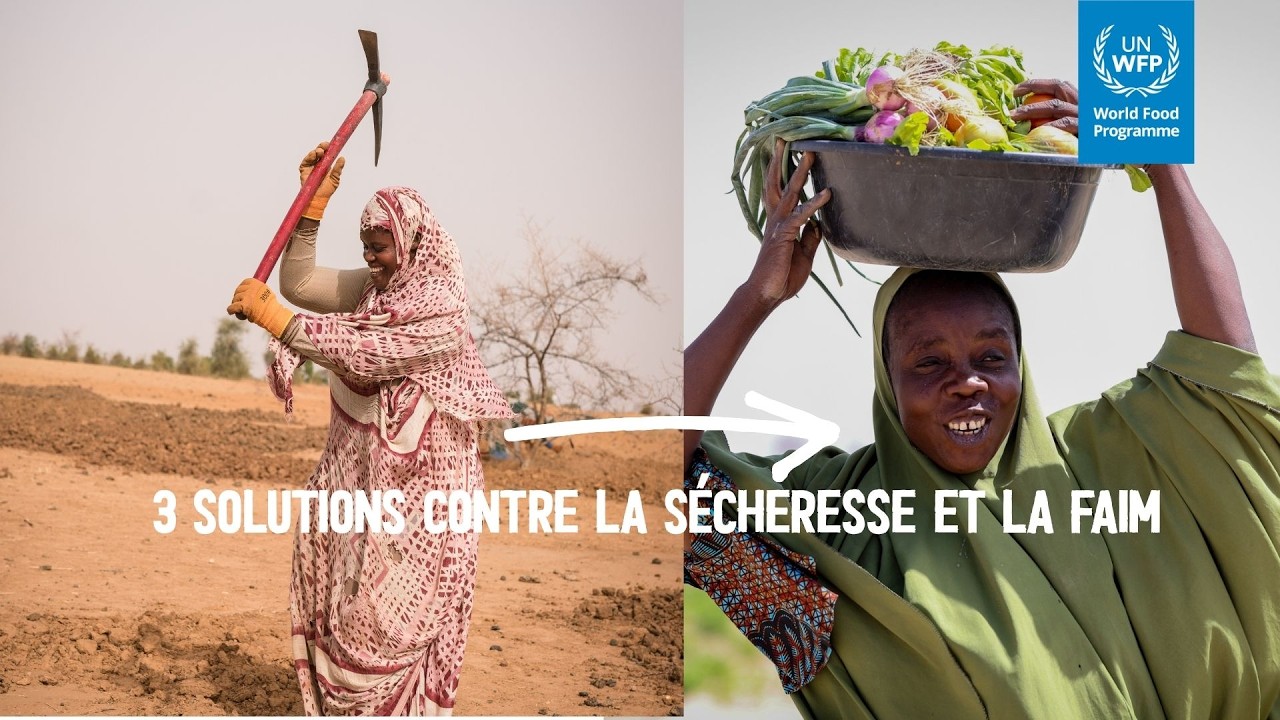 Trois techniques qui transforment la terre, l’eau et les vies au Sahel