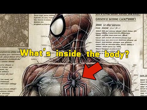 Spider-Man Anatomy Explored -How powerful is he? What secrets are hidden in his body?#movie #marvel