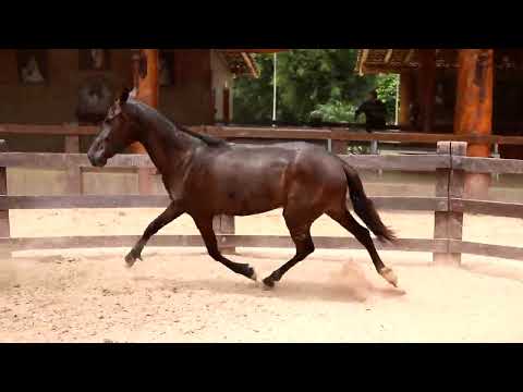 LEID LAURA CRISTO REDENTOR