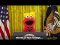 Elmo as Donald Trump! Elmo as Donald Trump!