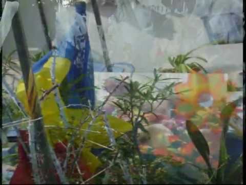 SIXTINA LUI MURIVALE - INSERŢII PORTRETEARTISTI DIN ROMANIA - ENVIRONMENTA 2001