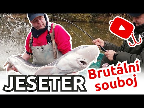 JESETER - Brutální souboj