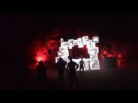 Summer Contrast Festival