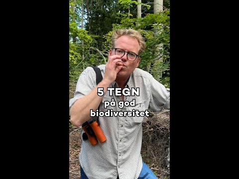 Sebastian Klein giver dig 5 tegn på biodiversitet 🌱