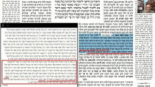 דף יומי מסכת זבחים דף לט Daf yomi Masechet Zevachim page 39  ע"י יוני גוטמן (שיעורי הדף היומי ב-20 דקות – מועבר ע"י ר' יוני גוטמן – לעילוי נשמת אביו ר' אלימלך צבי (צביקה) גוטמן ז"ל) - התמונה מוצגת ישירות מתוך אתר האינטרנט יוטיוב. זכויות היוצרים בתמונה שייכות ליוצרה. קישור קרדיט למקור התוכן נמצא בתוך דף הסרטון