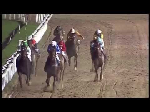 Dortmund: Preis der Sandbahn (D) - Sieger: Nero