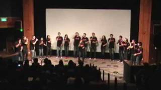 Scattertones Little Bird