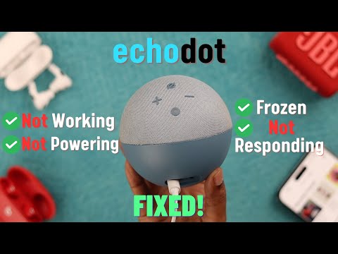 Echo Dot Not Working? - Fixed Not Responding and Frozen Problem on Alexa!