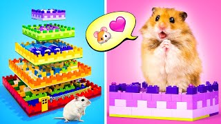 🏁 Hamster vs GIANT Maze! Escape or Get Stuck?! 😱🐹