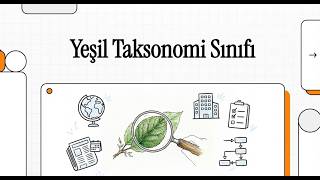 Türkiye Yeşil Taksonomisi: Şirketler İçin Stratejik Rehber