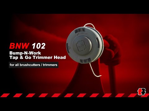 Immagine anteprima per video YouTube