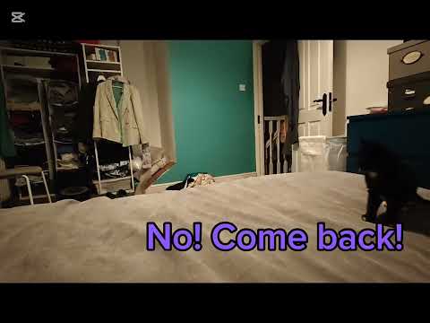 Should Sabriel be on the suspect list for the Louvres' heist? 