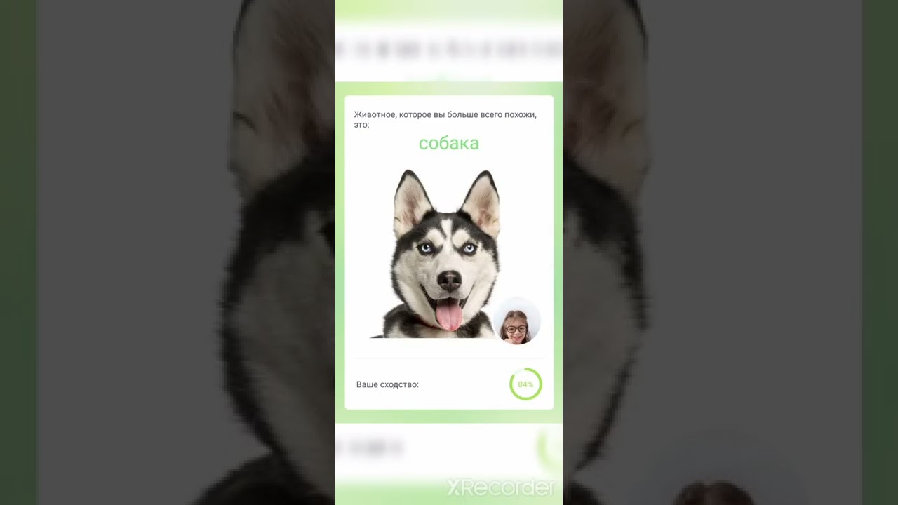 Какое я животное?(Программа как по моему показала не так, для меня я кот)