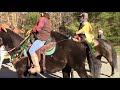 2021 Oak Point Horse Parade