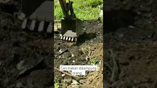 Download lagu sorong papan tarik papan buah keranji dalam perahu... mp3