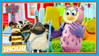 TIMMY’S SCOUT-STANDING NEW ADVENTURE! 🌲⛺🧭 | Timmy & Friends