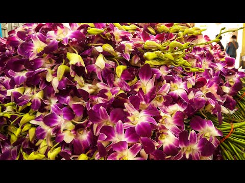 Bangkok Flower Market (Pak Khlong Talat), Thailand (December 2021)