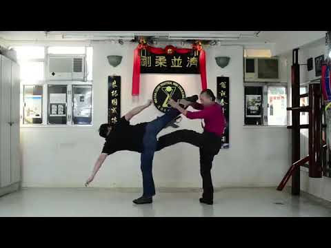 「詠春wing chun」Wan Kam leung Practical Wing Chun Shanghai