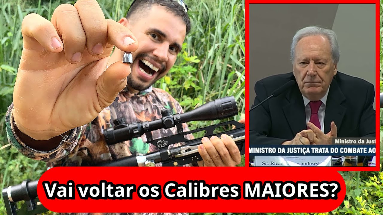 Carabinas de pressão LIBERADAS?