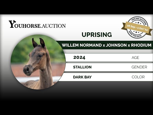 Uprising