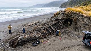 Arqueólogos Desenterraram Algo na Nova Zelândia que Não Corresponde à História da Humanidade