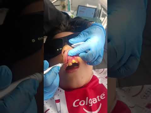 Luisa Fernanda Gomez Reyes-204