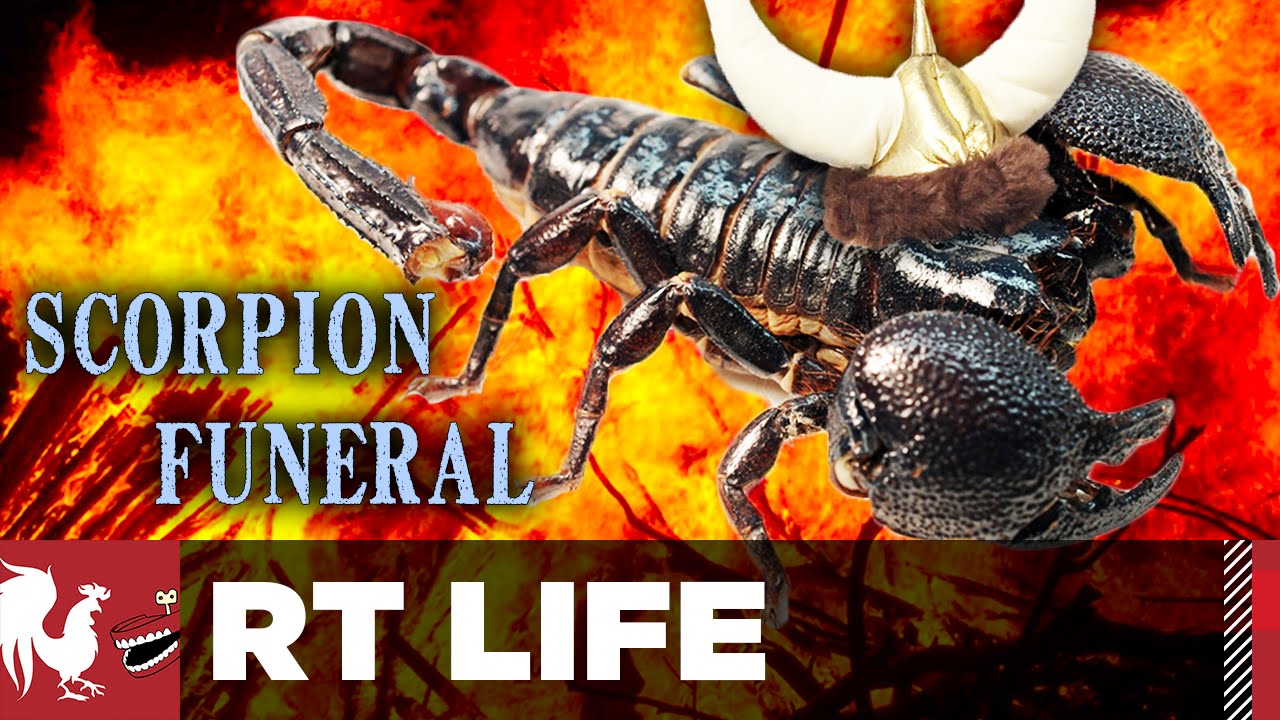 RT Life - Scorpion Funeral