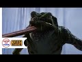 Scooby Doo Curse Of The Lake Monster 2010 First Attack Of The Lake Monster 1080p