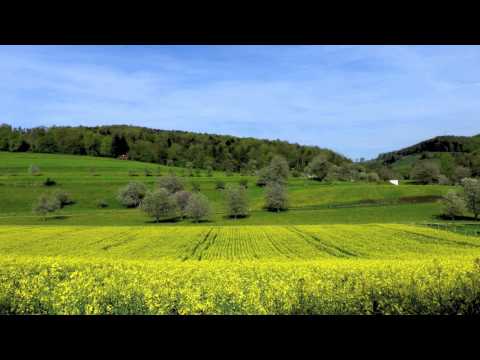 La Baroche au printemps Ajoie Jura
