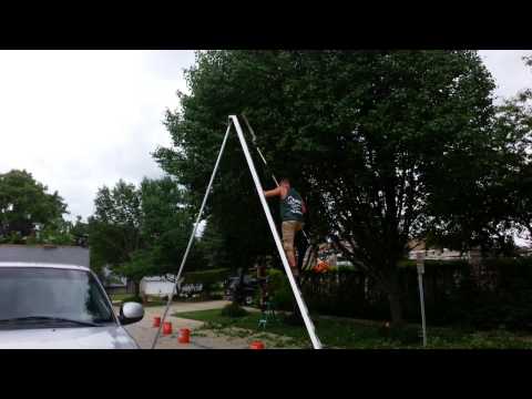 download lagu mp3 mp4 Bradford Pear Tree Height, download lagu Bradford Pear Tree Height gratis, unduh video klip Bradford Pear Tree Height