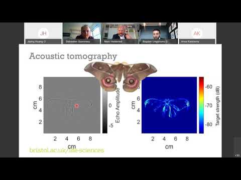 MetaMAT’s 12th webinar - 07.10.2020 - Moth wings as metamaterial sound absorbers - Marc Holderied