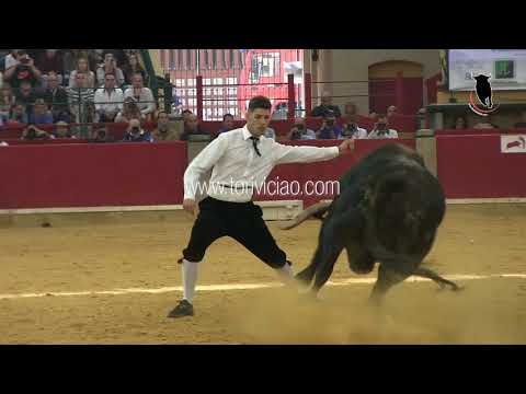 USE vs POCA vs PEQUE Final Campeonato de recortes de España