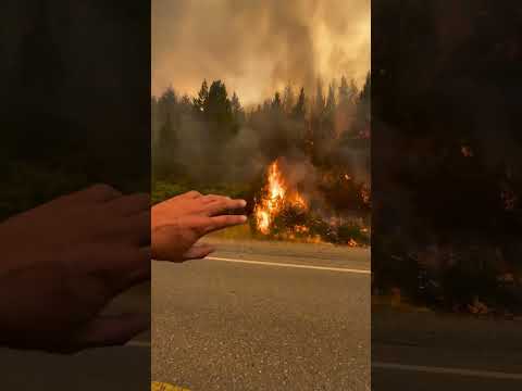 Incendio "Puerto Patriada", Chubut. Ruta Nacional 40 tramo Epuyén - El Hoyo.🎥 @maxijonas08/01/26