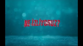Görsel Endüstri Propaganda Yöntemlerini Nasıl Kullanıyor?