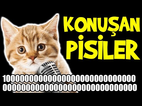 Konuşan Pisiler 1000000000000000000000000000000000000000000000000000000000 - En Komik Kedi Videoları